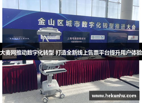 大麦网推动数字化转型 打造全新线上售票平台提升用户体验