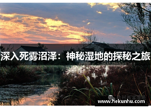 深入死雾沼泽:神秘湿地的探秘之旅